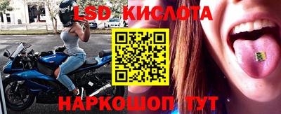 spice Заводоуковск