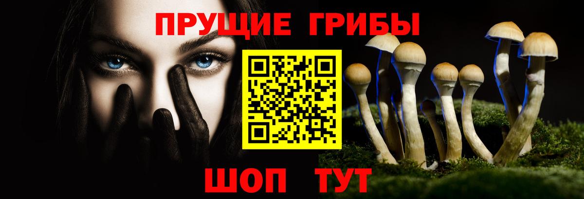 Псилоцибиновые грибы Cubensis Кушва